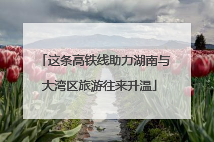 这条高铁线助力湖南与大湾区旅游往来升温