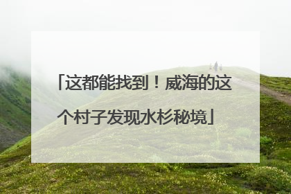 这都能找到！威海的这个村子发现水杉秘境