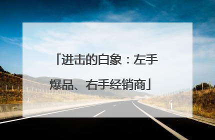 进击的白象：左手爆品、右手经销商