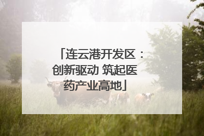 连云港开发区：创新驱动 筑起医药产业高地