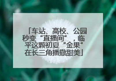 车站、高校、公园秒变“直播间”，临平这颗初夏“金果”在长三角播撒甜美