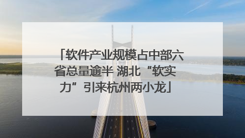 软件产业规模占中部六省总量逾半 湖北“软实力”引来杭州两小龙