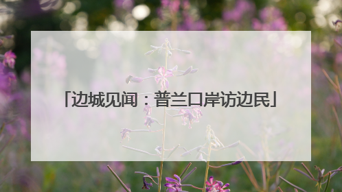边城见闻：普兰口岸访边民