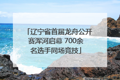 辽宁省首届龙舟公开赛浑河启幕 700余名选手同场竞技
