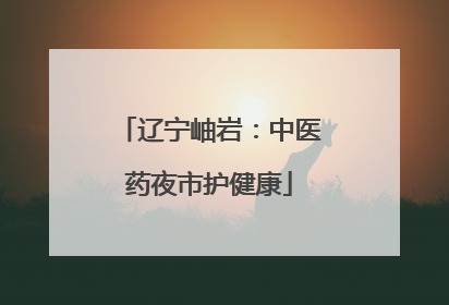 辽宁岫岩：中医药夜市护健康