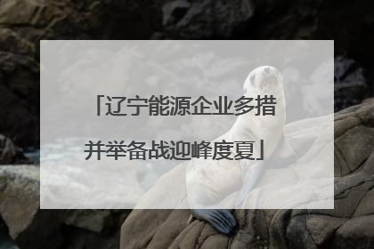 辽宁能源企业多措并举备战迎峰度夏