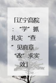 辽宁高院：“学”抓扎实 “查”见真章 “改”求实效