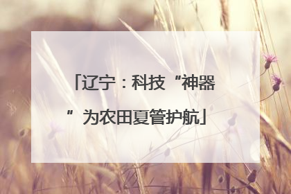 辽宁：科技“神器”为农田夏管护航
