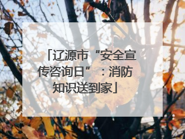 辽源市“安全宣传咨询日”：消防知识送到家