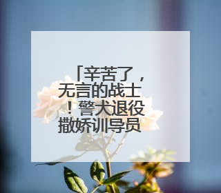 辛苦了，无言的战士！警犬退役撒娇训导员湿了眼眶