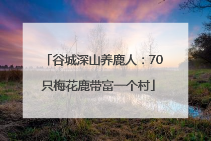 谷城深山养鹿人：70只梅花鹿带富一个村