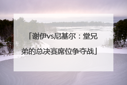 谢伊vs尼基尔：堂兄弟的总决赛席位争夺战