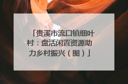 贵溪市流口镇细叶村：盘活闲置资源助力乡村振兴（图）