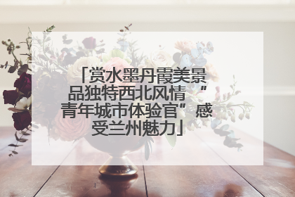 赏水墨丹霞美景 品独特西北风情 “青年城市体验官”感受兰州魅力