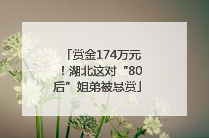 赏金174万元！湖北这对“80后”姐弟被悬赏