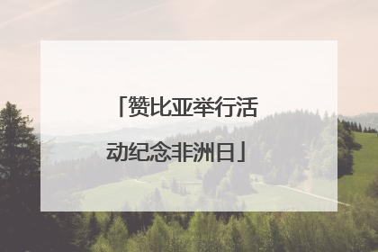 赞比亚举行活动纪念非洲日