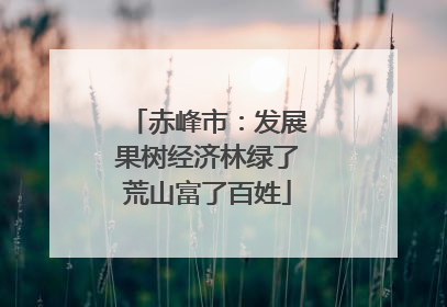 赤峰市：发展果树经济林绿了荒山富了百姓