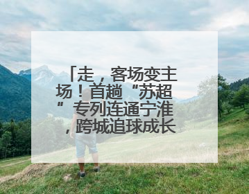 走，客场变主场！首趟“苏超”专列连通宁淮，跨城追球成长三角人新日常