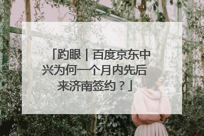 趵眼｜百度京东中兴为何一个月内先后来济南签约？