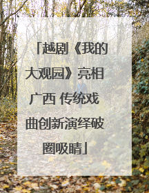 越剧《我的大观园》亮相广西 传统戏曲创新演绎破圈吸睛