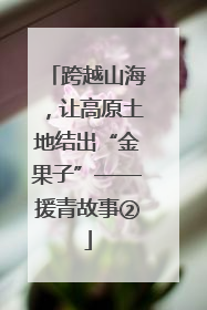 跨越山海，让高原土地结出“金果子”——援青故事②