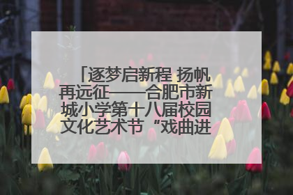 逐梦启新程 扬帆再远征——合肥市新城小学第十八届校园文化艺术节“戏曲进校园专场演出”