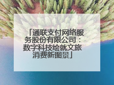 通联支付网络服务股份有限公司：数字科技绘就文旅消费新图景