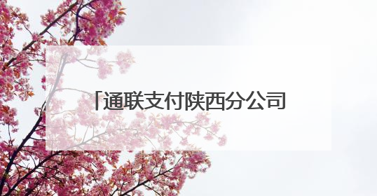 通联支付陕西分公司以云商通方案助力长安唐村绘就文旅新图景
