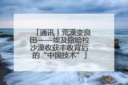 通讯丨荒漠变良田——埃及撒哈拉沙漠收获丰收背后的“中国技术”