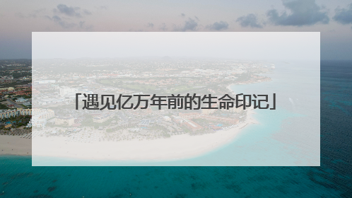 遇见亿万年前的生命印记