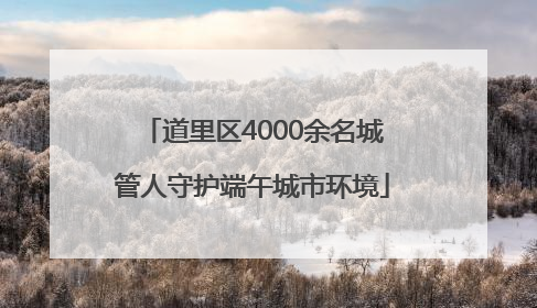 道里区4000余名城管人守护端午城市环境