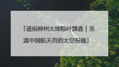 遥祝神州大地粽叶飘香｜重温中国航天员的太空祝福