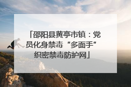 邵阳县黄亭市镇：党员化身禁毒“多面手” 织密禁毒防护网