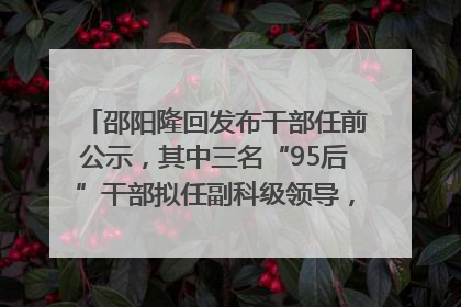 邵阳隆回发布干部任前公示，其中三名“95后”干部拟任副科级领导，均系硕士选调生