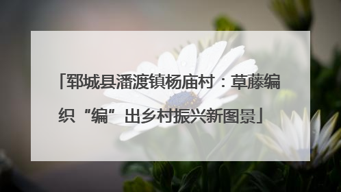 郓城县潘渡镇杨庙村：草藤编织“编”出乡村振兴新图景