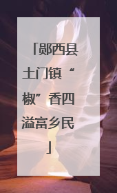 郧西县土门镇“椒”香四溢富乡民