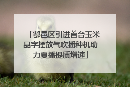 鄠邑区引进首台玉米品字摆放气吹播种机助力夏播提质增速
