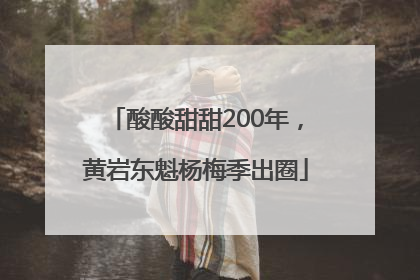 酸酸甜甜200年，黄岩东魁杨梅季出圈