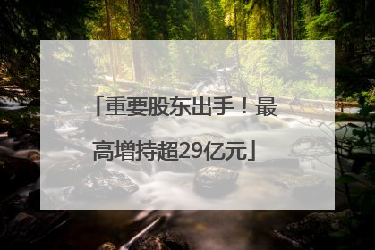 重要股东出手！最高增持超29亿元