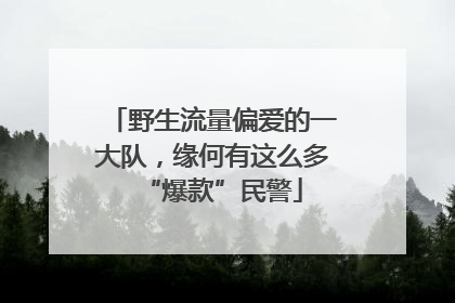野生流量偏爱的一大队，缘何有这么多“爆款”民警