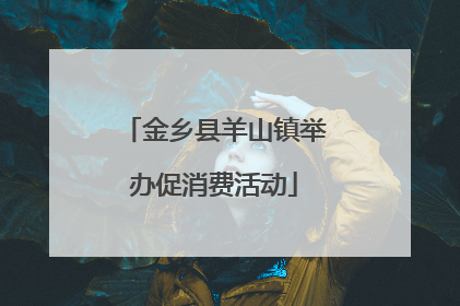 金乡县羊山镇举办促消费活动