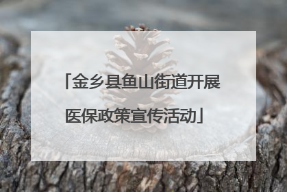 金乡县鱼山街道开展医保政策宣传活动