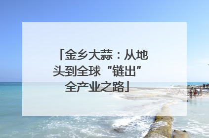 金乡大蒜：从地头到全球“链出”全产业之路