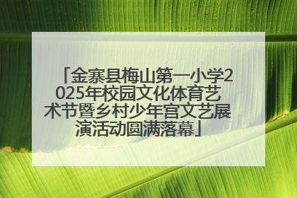 金寨县梅山第一小学2025年校园文化体育艺术节暨乡村少年宫文艺展演活动圆满落幕