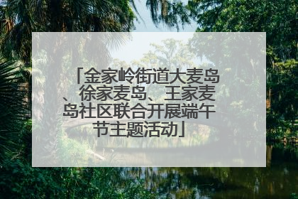 金家岭街道大麦岛、徐家麦岛、王家麦岛社区联合开展端午节主题活动