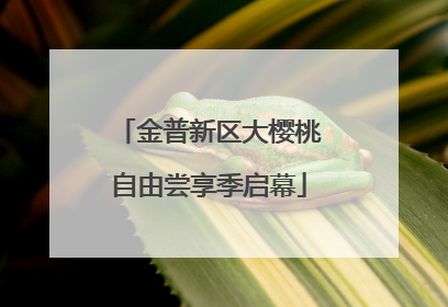 金普新区大樱桃自由尝享季启幕