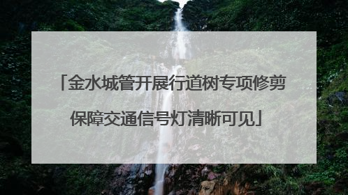 金水城管开展行道树专项修剪 保障交通信号灯清晰可见