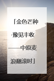 金色芒种·豫见丰收——中原麦浪翻滚时