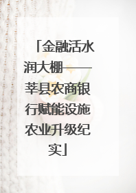 金融活水润大棚——莘县农商银行赋能设施农业升级纪实