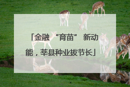 金融 “育苗” 新动能，莘县种业拔节长